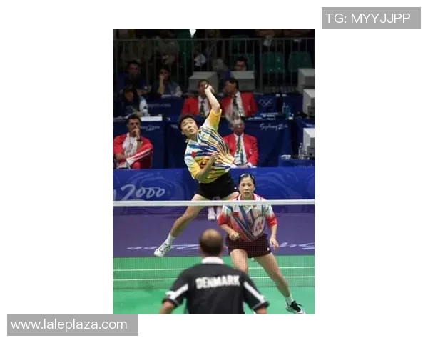 重庆羽毛球队包夹战术解析及其在羽毛球比赛中的应用与影响 重庆羽毛球队包夹战术解析及其在羽毛球比赛中的应用与影响