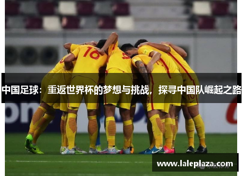中国足球：重返世界杯的梦想与挑战，探寻中国队崛起之路