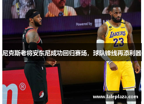 尼克斯老将安东尼成功回归赛场，球队锋线再添利器