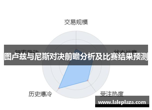 图卢兹与尼斯对决前瞻分析及比赛结果预测