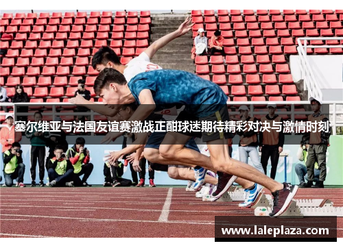 塞尔维亚与法国友谊赛激战正酣球迷期待精彩对决与激情时刻
