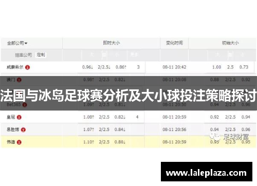 法国与冰岛足球赛分析及大小球投注策略探讨