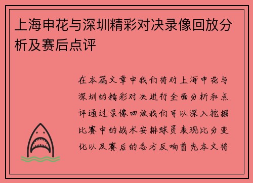 上海申花与深圳精彩对决录像回放分析及赛后点评